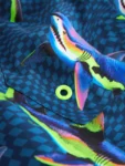 Blue Shark Printed Swim Shorts