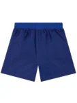 Character Blue Sonic The Hedgehog Swim Shorts