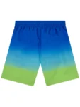 Character Blue Sonic The Hedgehog Swim Shorts