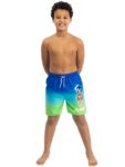 Character Blue Sonic The Hedgehog Swim Shorts