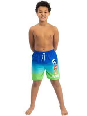 Character Blue Sonic The Hedgehog Swim Shorts