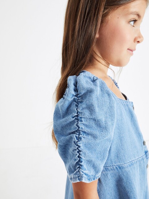 Blue Denim Ruched Sleeve Tea Dress