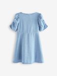Blue Denim Ruched Sleeve Tea Dress
