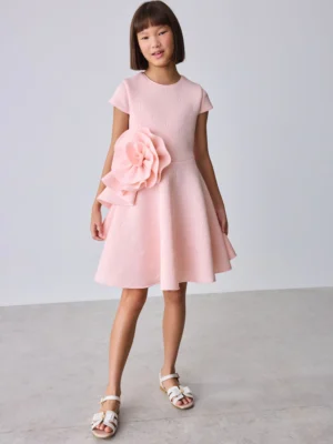 Baker by Ted Baker Pink 3D Corsage Embossed Scuba Dress