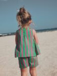 Pink/Green Stripe Embroided Shorts And Top Set