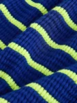 Navy Blue/Lime Green Stripe Tassel Textured Shorts