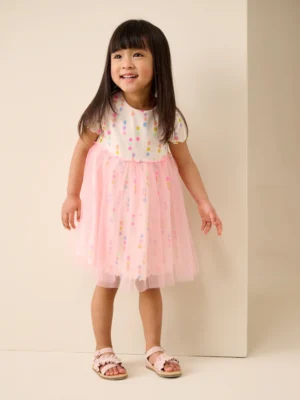 Rainbow Spot Mesh Skirt Dress