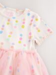 Rainbow Spot Mesh Skirt Dress