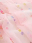 Rainbow Spot Mesh Skirt Dress