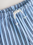 Blue Navy Stripe Textured Shorts