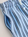 Blue Navy Stripe Textured Shorts