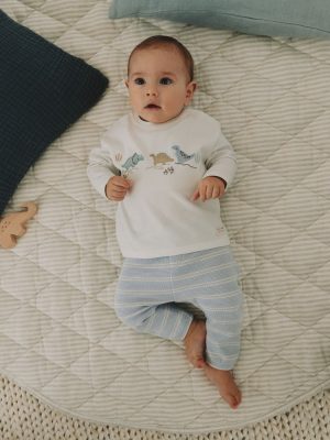 Blue Dinosaur Top and Leggings Baby Set