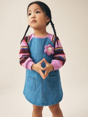 Purple Stripe Raglan Denim Dress